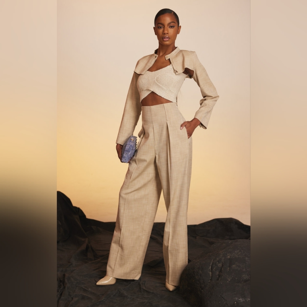 Cult Gaia Tanya Pleated Twill Wide-Leg Pants NWOT
